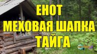1014 - ОХОТА НА ЕНОТА _ ТАЙГА
