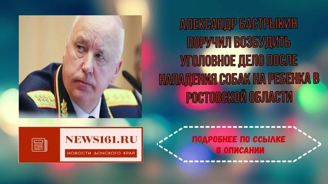 Александр Бастрыкин поручил возбудить уголовное дело после нападения собак на ребенка в Ростовской о