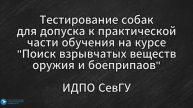 Тестирование собак
для допуска к практической
части обучения на курсе
"Поиск ВВ"