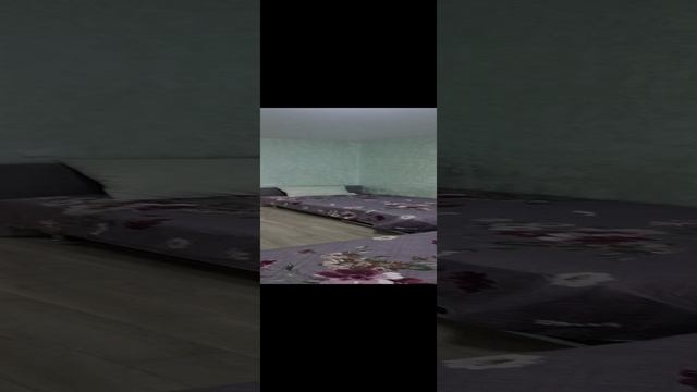 1000155647.mp4