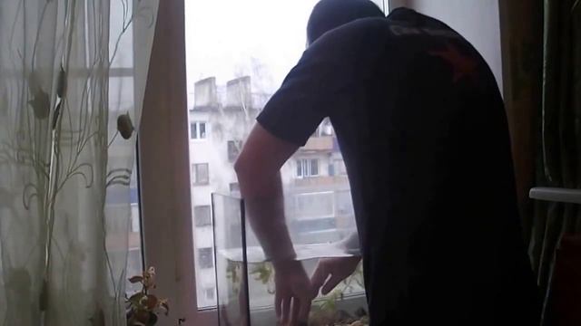 Аквариумные растения