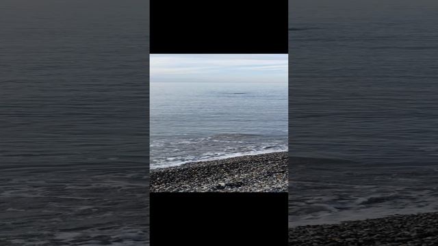 1000042657.mp4