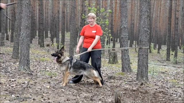 Должиков Бумер