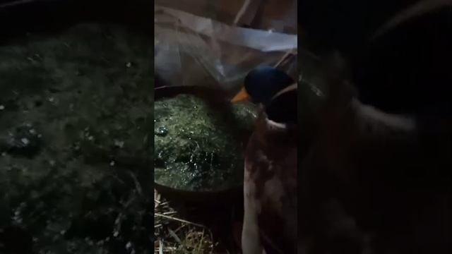 Без названия
