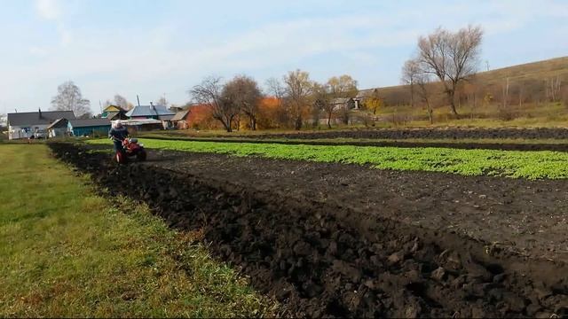 Вспашка 2019