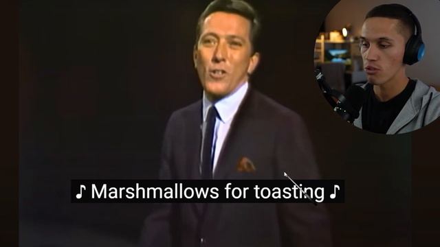 Andy Williams - It's the Most Wonderful Time of the Year - Тренируем АНГЛИЙСКИЙ СЛУХ