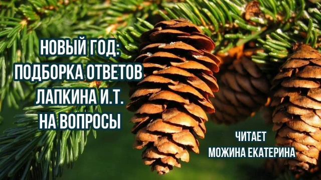 Новый год: подборка ответов Лапкина И.Т на вопросы.