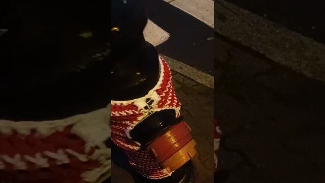 экскурсия 1