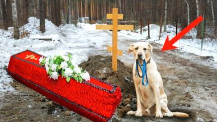 Пёс пришёл на похороны проститься со своим хозяином... То произошло дальше, поразило все до слёз...