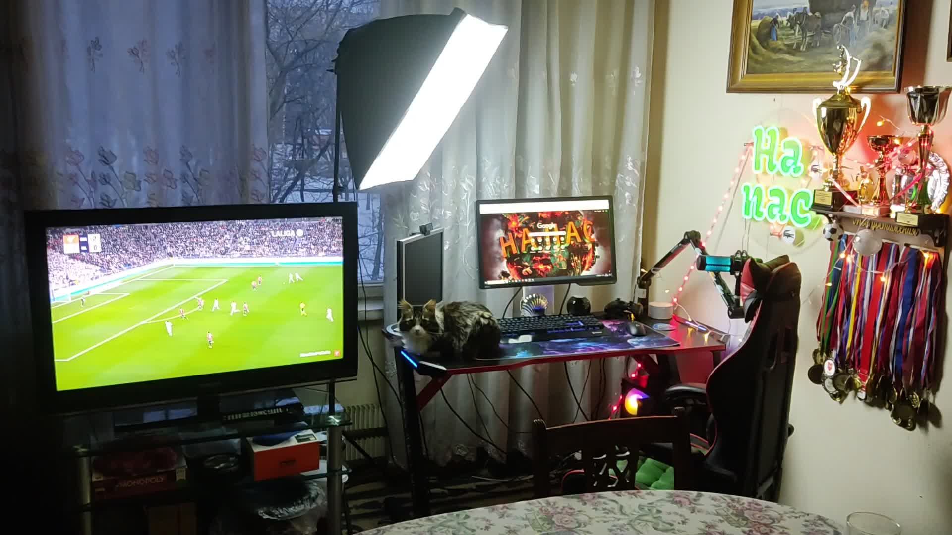 🎄Ухтыжёлочкипушистые🎄