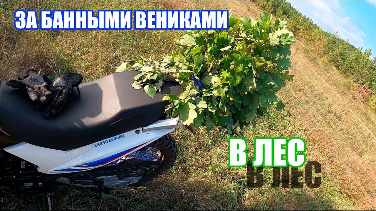 ДЕРЖИМ ПУТЬ ЗА БАННЫМИ ВЕНИКАМИ