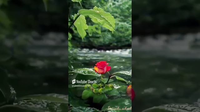 1000002810.mp4