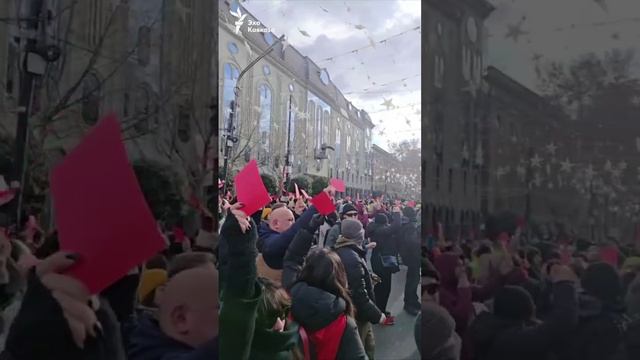 Протестующие в Тбилиси пришли к зданию парламента и показали красные карточки