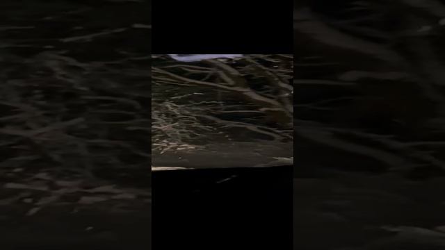 от некроманта