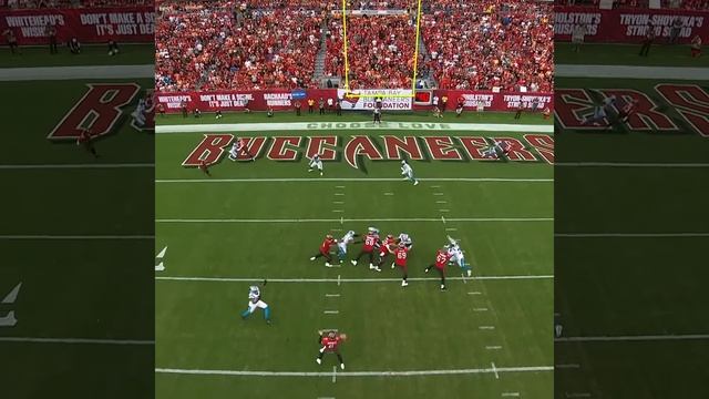 Payne Durham catches for a 5-yard Touchdown vs. Carolina Panthers