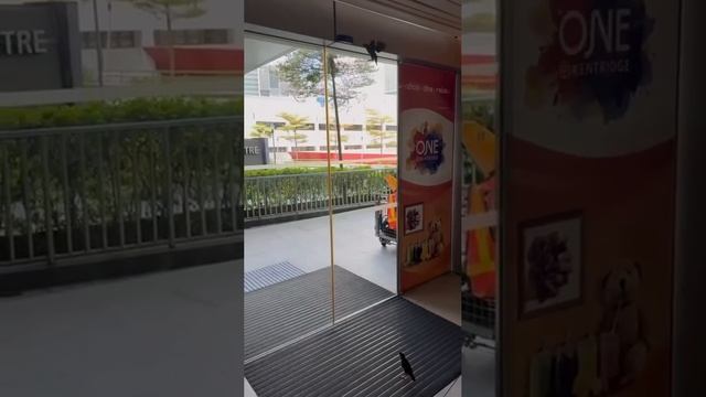 Сообразительные птички 🐦