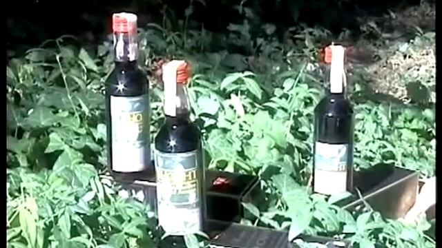 коференция по Эноанту 2