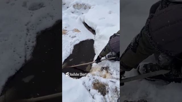 НЕ РЫБАЛКА