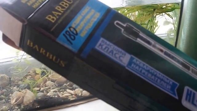 Температура в аквариуме