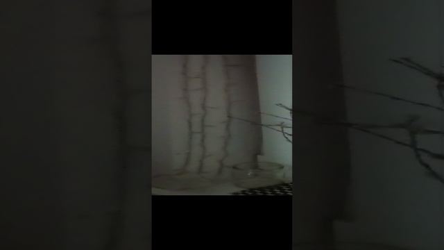 Алиса включает гирлянду