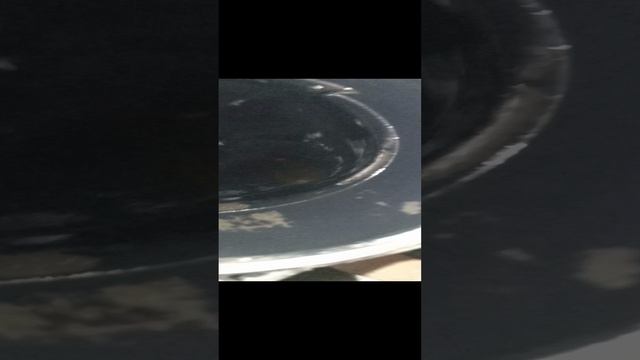 VID_20241215_032807