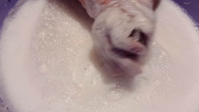 ХОЗИКИ ❤