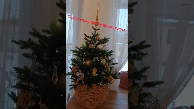 пробую снимать ролики.mp4