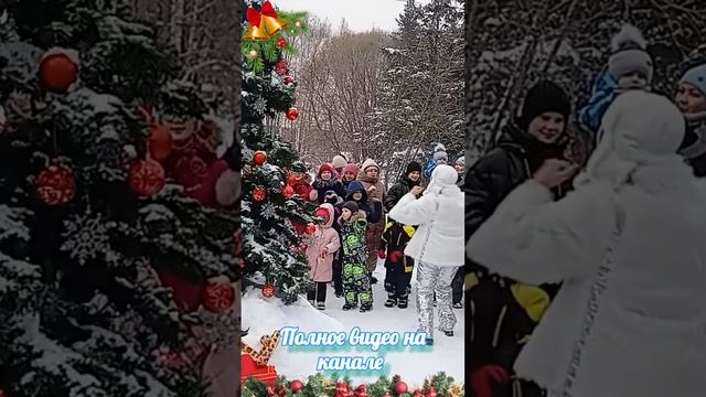 #shorts 🎉 Предновогодние гулянья в ботаническом саду 🎉