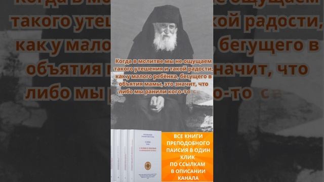 Преподобный Паисий Святогорец: почему мы не ощущаем утешения и радости в молитве?