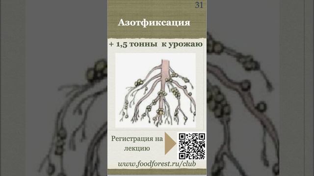 Афанасьев_Биоценоз богатый белком_21