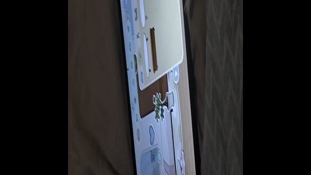 VID20241230112818.mp4