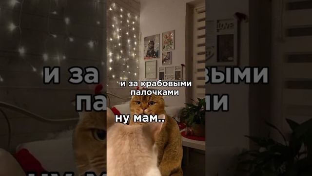 жиза