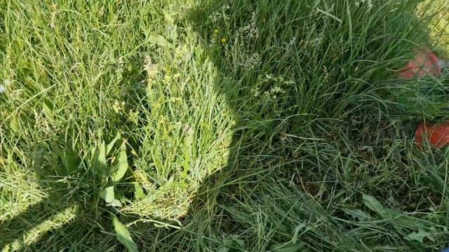 Сенакос на минитракторе самодельной косилкой