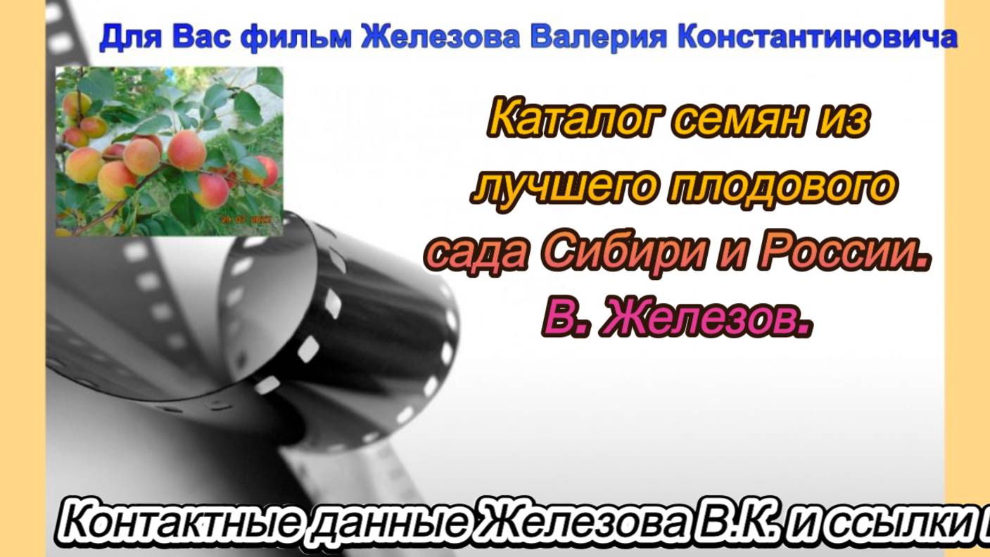 Каталог семян из лучшего плодового сада Сибири и России. В. Железов.