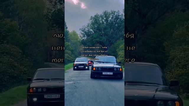 Цитаты #2