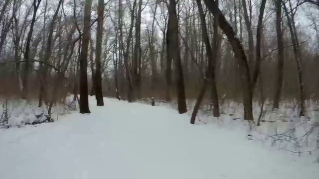 Мотивы декабря.😊