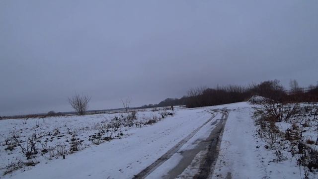 Охота 23.12.2024 г.