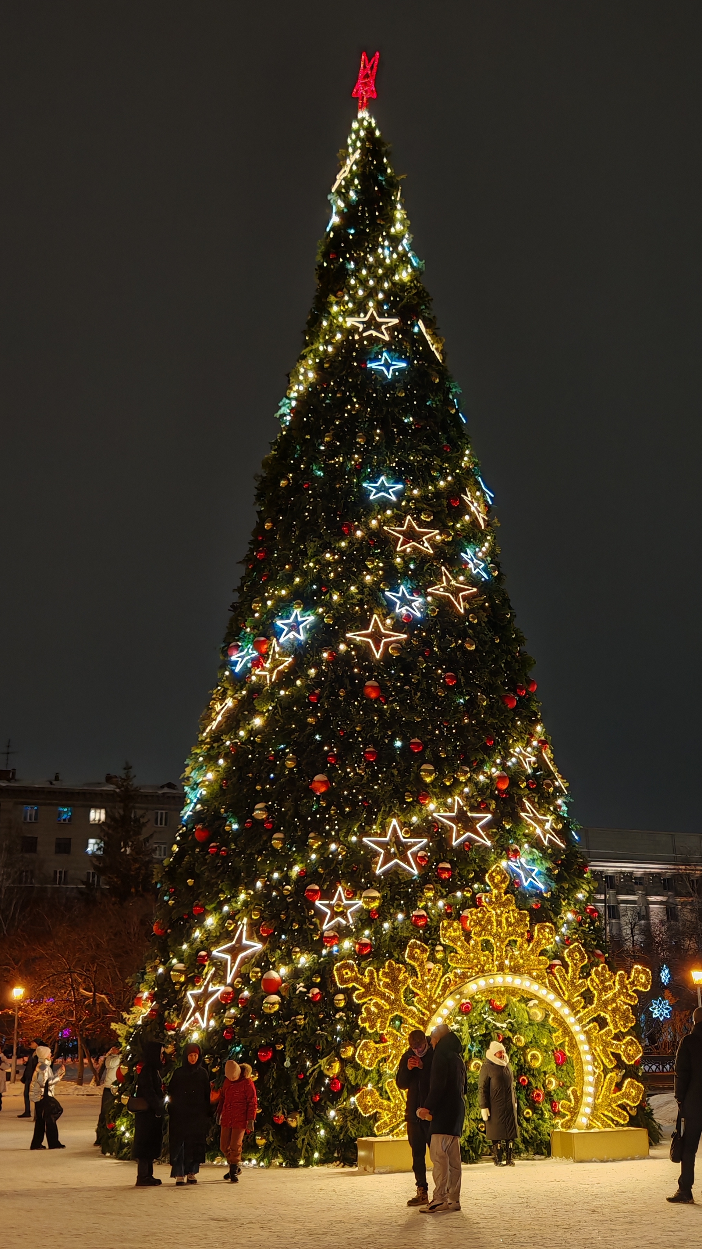 Мимо центральной ёлочки 🌲