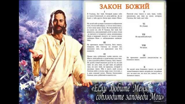 Про совесть и ответственность. Размышления на тему чужого ролика