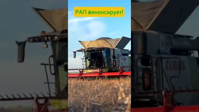 Claas Trion грузит по полной. Финансирует РАЛ! #Рал #лизинг