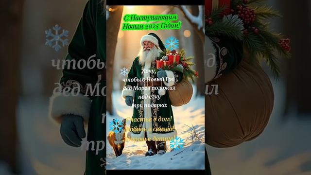 С наступающим Новым 2025 годом🎄🎄🎉🎉❄️