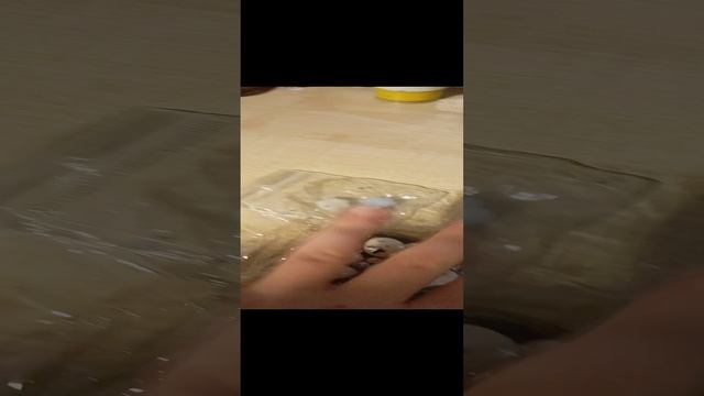 сквшы