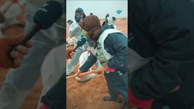 Волонтёры БФ Инсан очищают побережье Черного моря