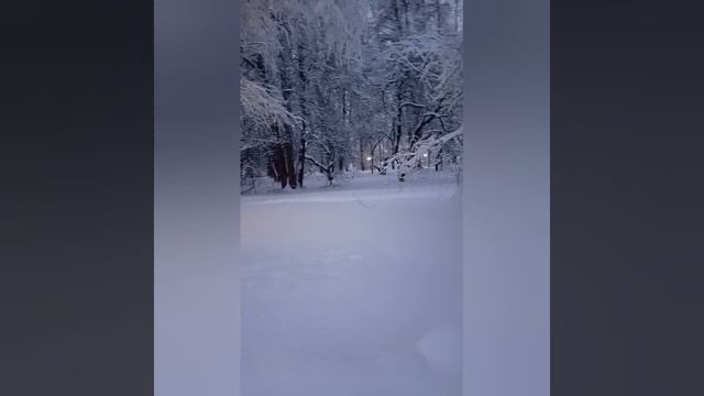 КАК ПРАВИЛЬНО ЗАГАДАТЬ ЖЕЛАНИЕ 🎄🥳🥂?