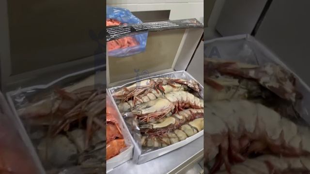 Лучшие морепродукты 🦞🌊