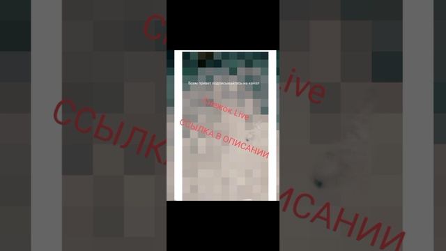 Подписывайтесь на канал... Снежок Live