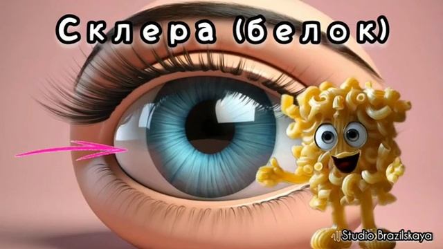 Макарошка изучает глаза 👀 Серия 4. Мультфильмы для детей 😍 Обучающий ☝️