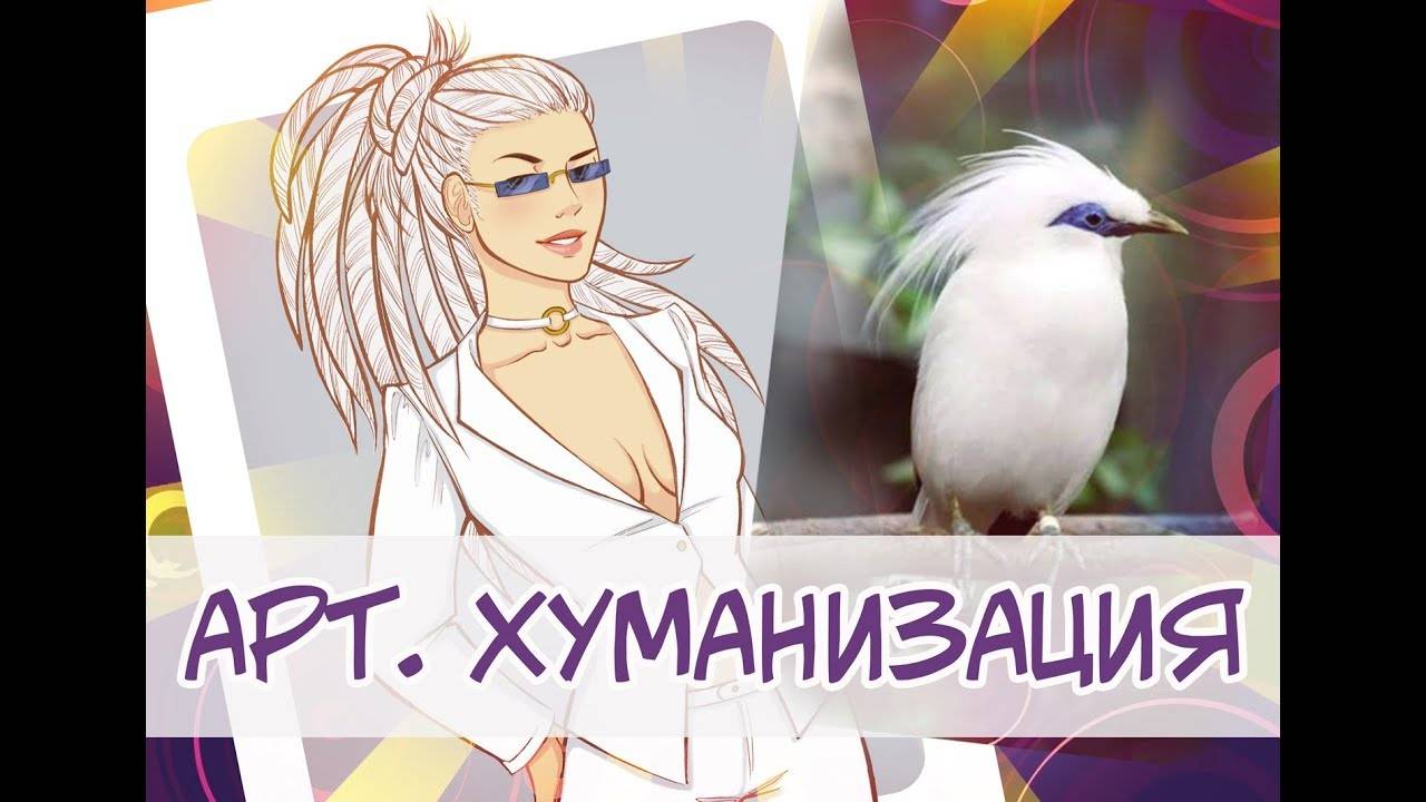 [Хуманизация] Балийский скворец. (by KaMa)