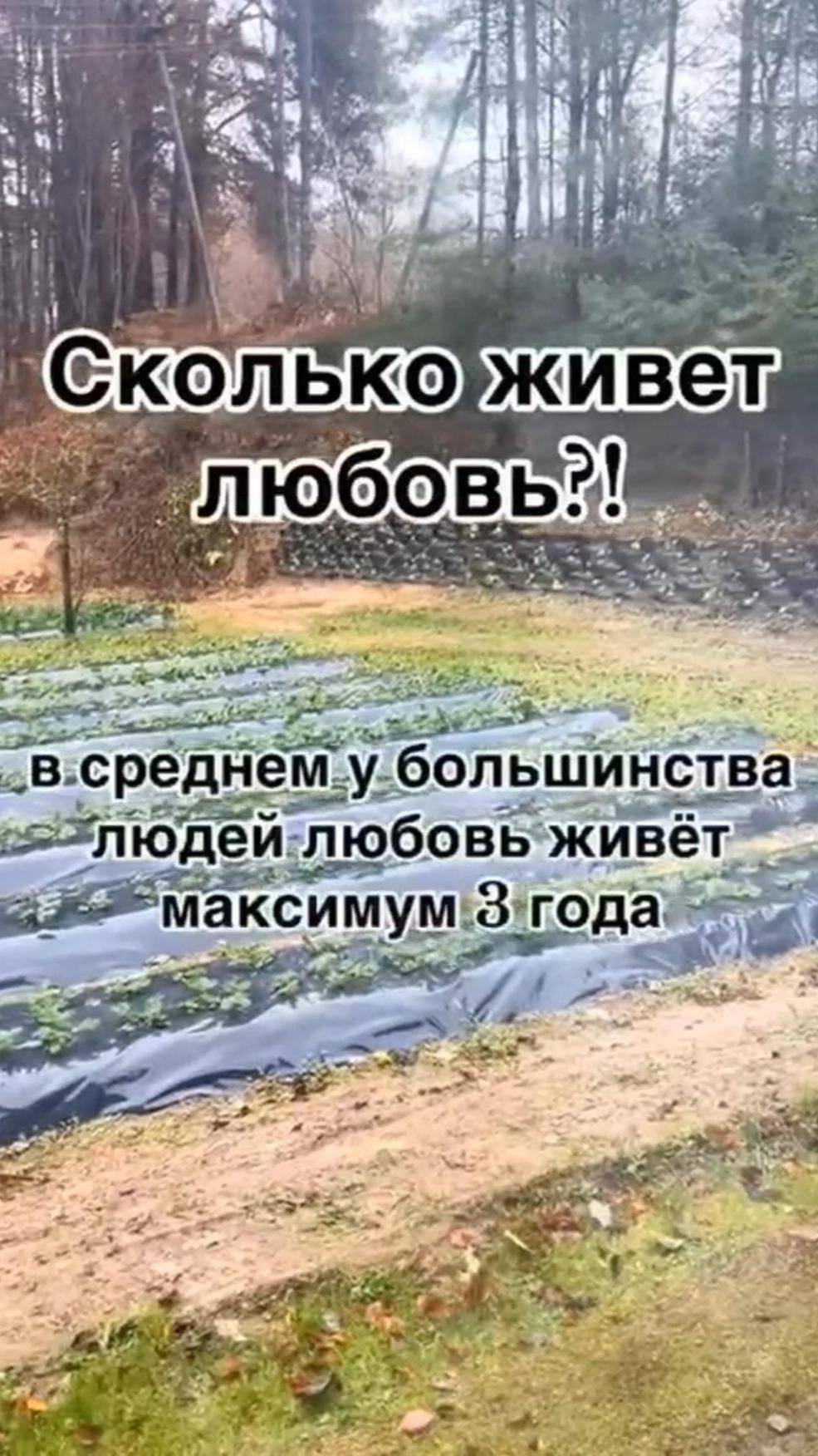 Вся правда о любви в одном ролике.