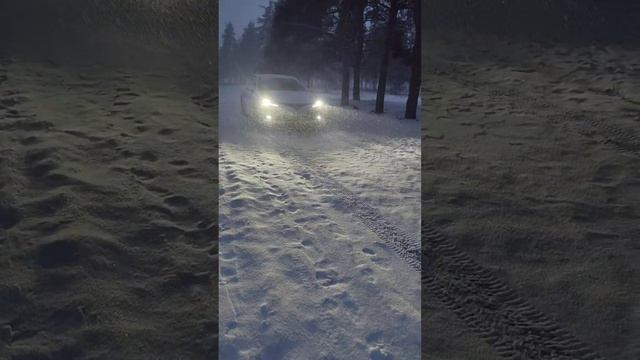 Свадебный авто прокат в Волгограде. Машины и украшения для свадеьных автомобилей. Кортеж Данко